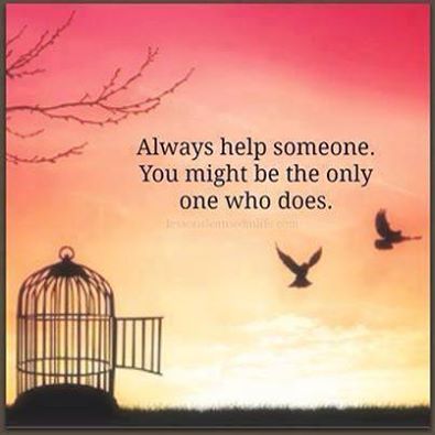 10533054 10152141249091541_3370370760319830164_n