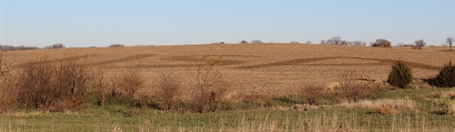 11-9-2015 003_cropped_500