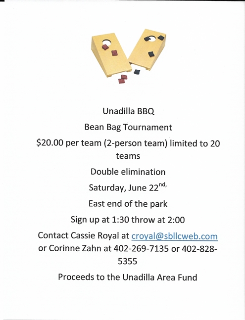 Bean Bag Tournament 001 495