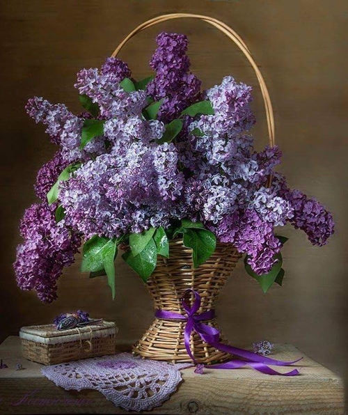 Lilac Bouquet 500