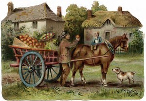 Loading apples