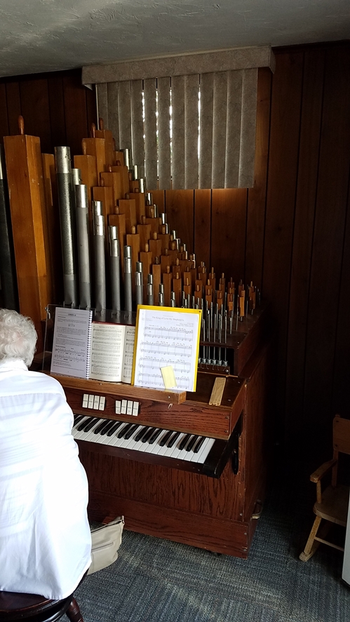 Organ 2 499