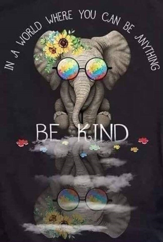 FB IMG 1563503371809 495