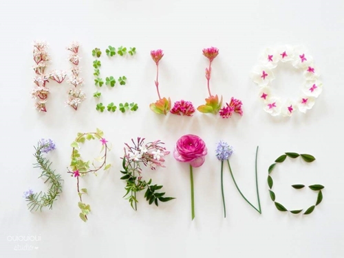 Hello Spring 500