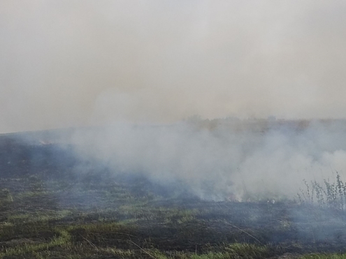 Resized 20200511 115032 1400 495