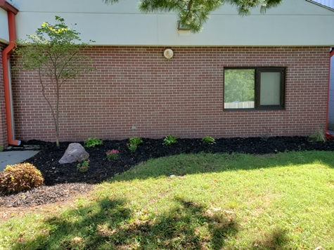 Resized 20200817 113034 475