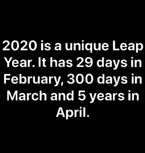 Unique Leap Year 495