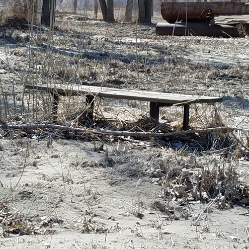 buried picnic table at Brownville 495