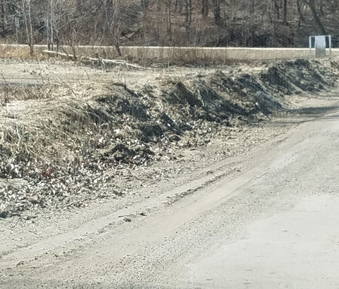 cleared road at Brownville park 495