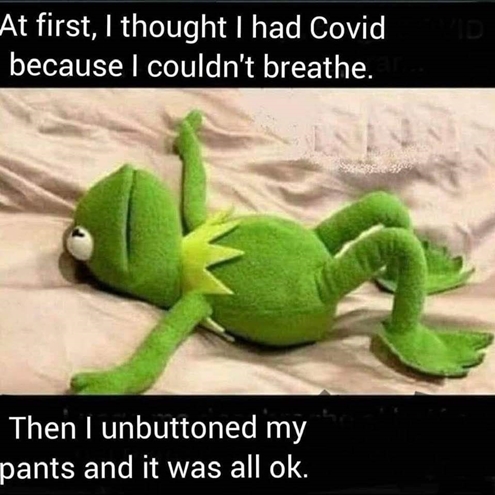 facebook 1590403151216 6670634298759368239 495