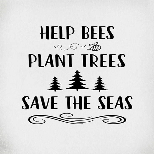 Bees Trees Seas 495