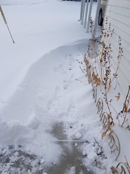 Resized952021012695091522956549 450