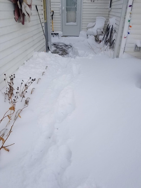 Resized952021012695091531956046 450