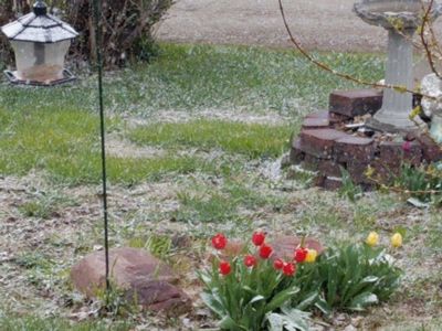 Resized952021041995172313959443 400