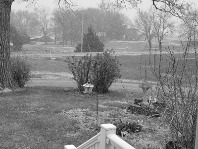 Resized952021041995172338959945 400