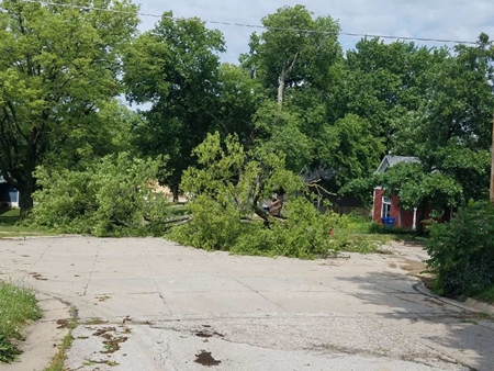 Resized952021062495110624955958 450