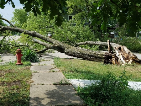 Resized952021062495110727952765 450