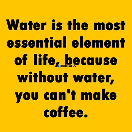 facebook 1610301439145 6754093767413989462 450