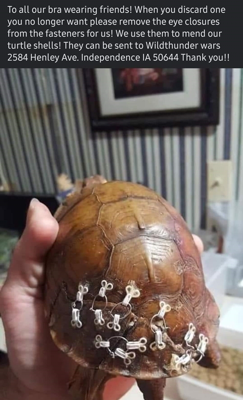 facebook 1625071064610 6816042066580790861 475