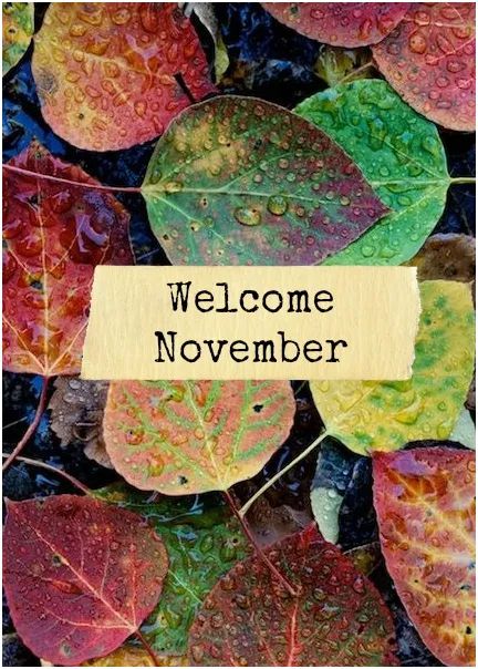 facebook 1635796388760 6861027336564357200