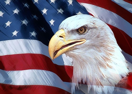 7008c02416cf55483b2b4aa5bc8f4f93 450