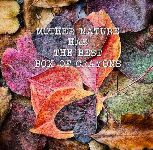 FB IMG 1665749228065 495