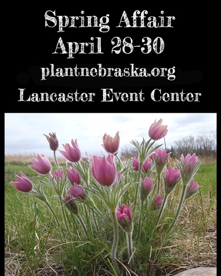 facebook 1645210697031 6900513807403191682 450