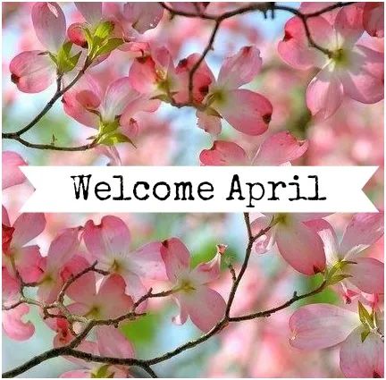 facebook 1648852670267 6915789350312833937