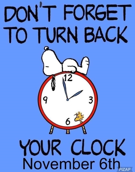 facebook 1666751833442 6990863882013652552 450