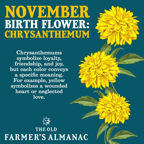 facebook 1667494013621 6993976811308745615 495