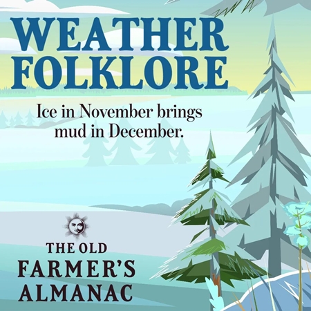 facebook 1668387464146 6997724214419223192 450