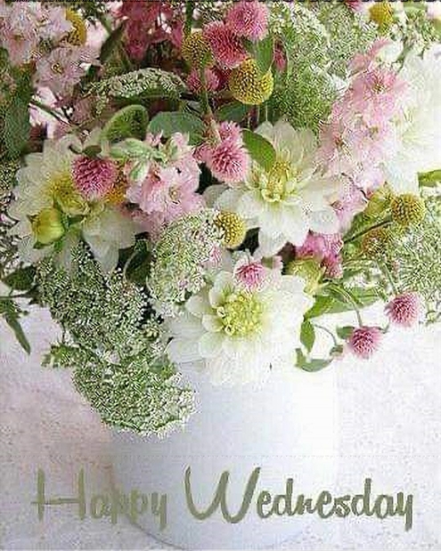 FB IMG 1660172014245 495