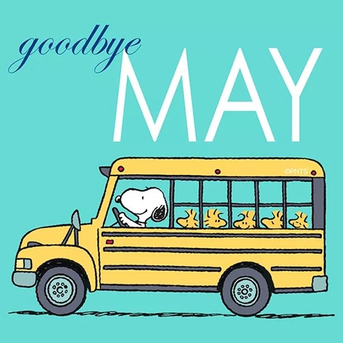 Goodbye May 495