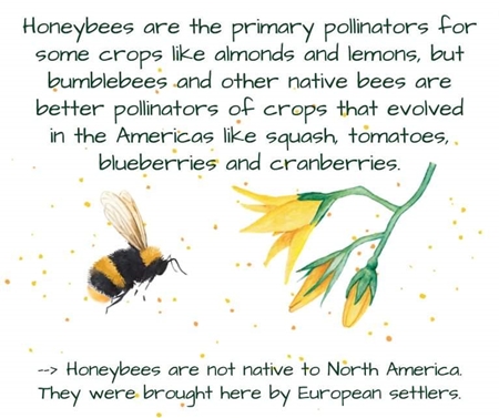 facebook 1686656621892 7074350615828503337 450