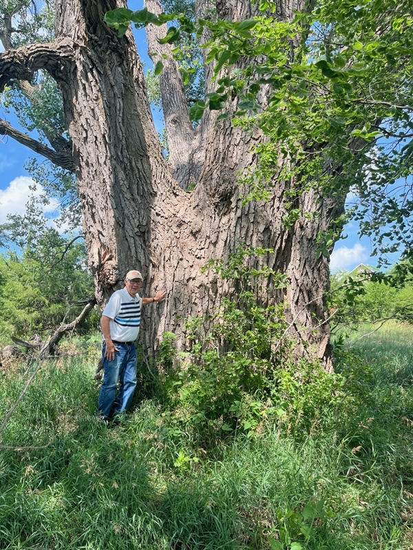 Bob Brandt by Tree 600