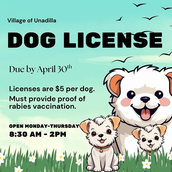 Dog License 550