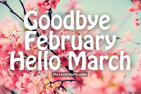 Goodbye February.jpg 495
