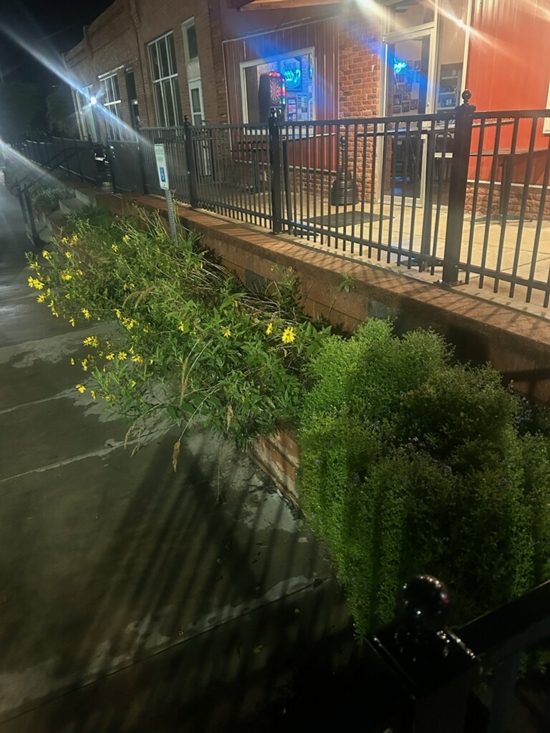 Flowers in front of Mals 500