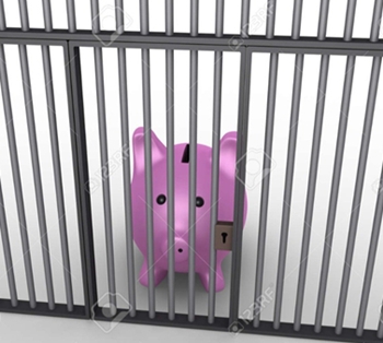 Pig behind bars 350