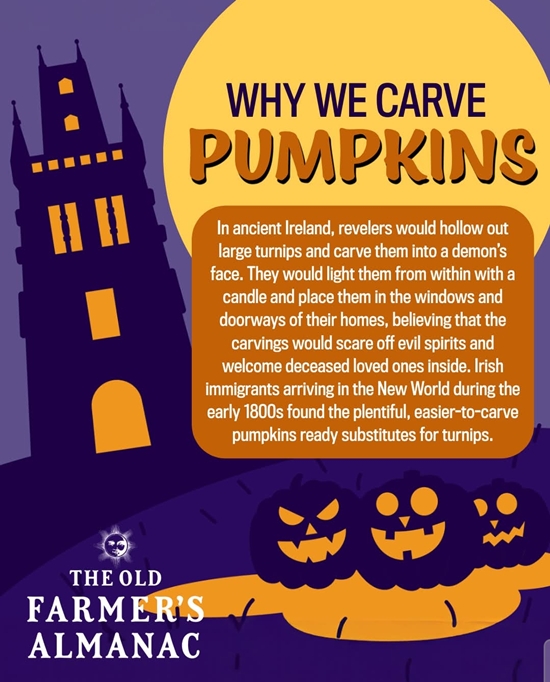 Pumpkins 550