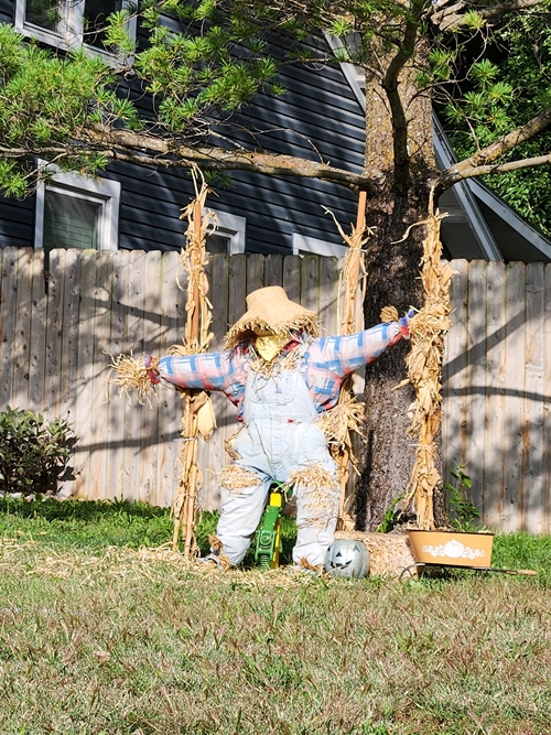 Scarecrow 500