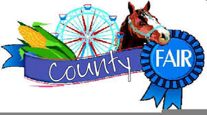 county fair 3