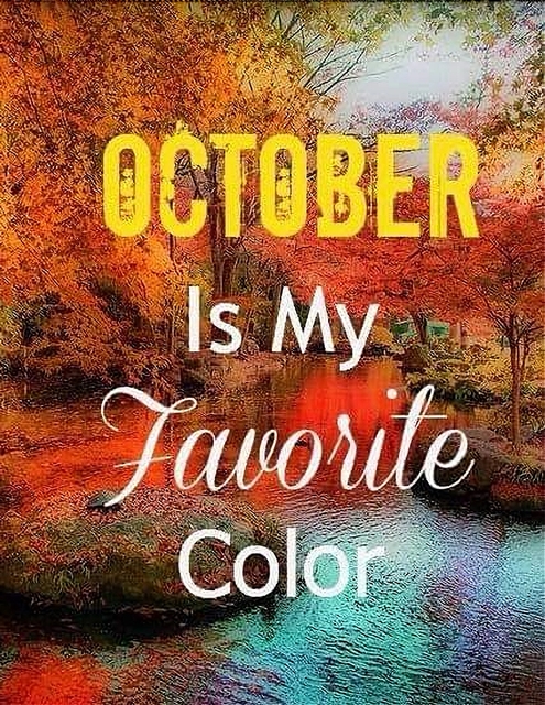 facebook 1633096878327 6849704769159940688 495