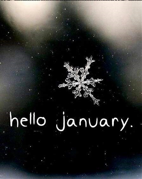 Hello January 495