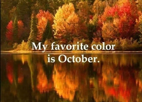 October 495