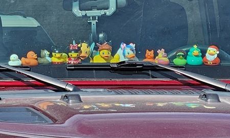 Rubber Duckies 450
