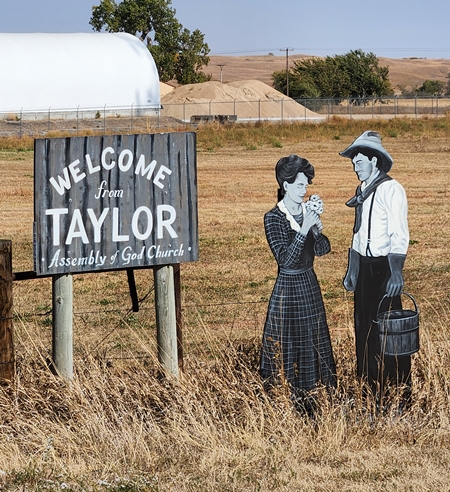 Taylor cut out 3 450