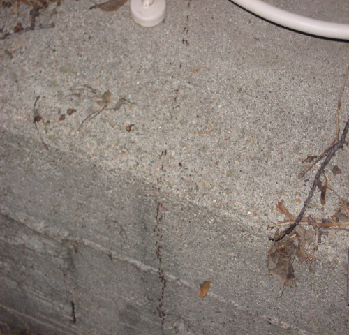Ants3