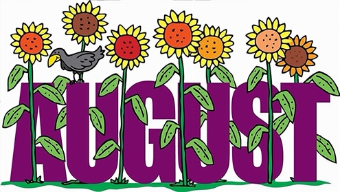 August Sunflowers 495