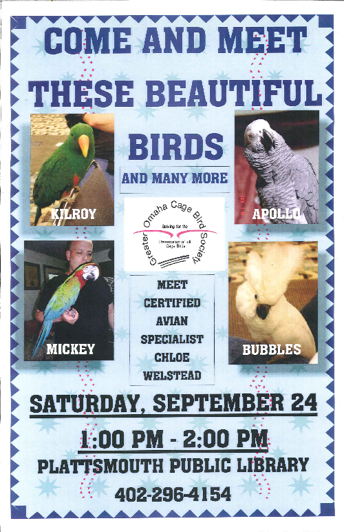 Bird_flyer